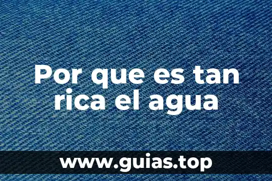 Que es la capa de datos en negocio electronico 5 Por que es tan rica el agua