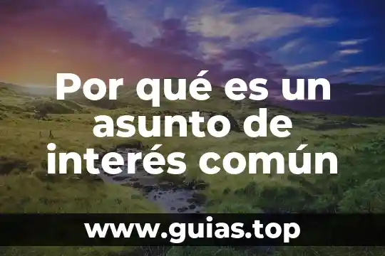 Que es antaño concepto 6 Por qué es un asunto de interés común