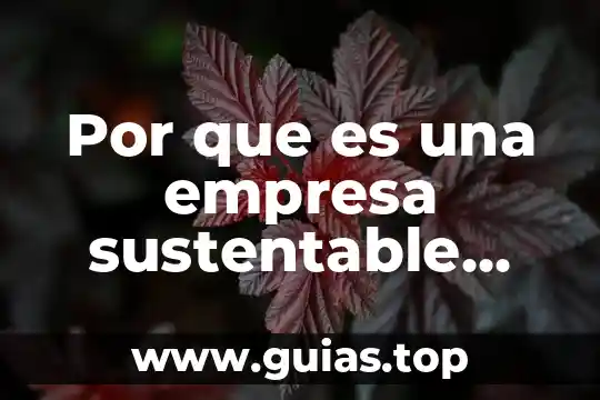 Que es la cumbre mundial sobre el desarrollo sustentable 5 Por que es una empresa sustentable mysol mi energia