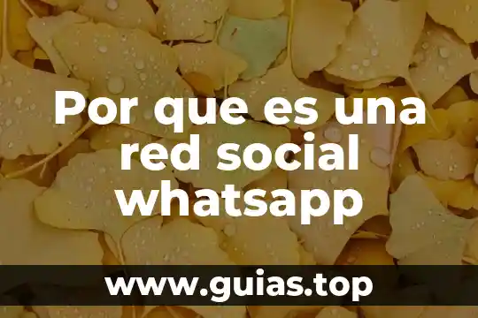 Que es mejor whatsapp plus o yowhatsapp 4 Por que es una red social whatsapp