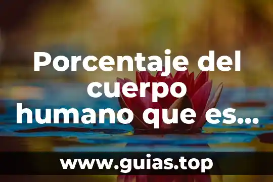 Que es un hectometro cubico de agua 3 Porcentaje del cuerpo humano que es agua