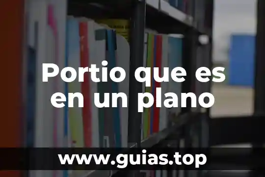 Que es el plano cortesino 3 Portio que es en un plano