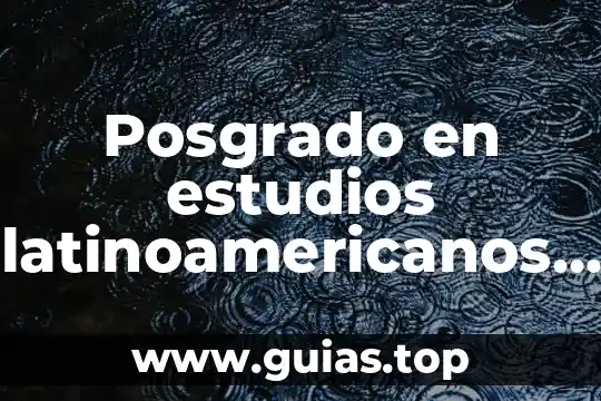 Que es desarrollador sap 3 Posgrado en estudios latinoamericanos que es