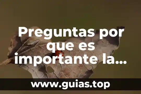 Por que es importante la multimeda 8 Preguntas por que es importante la convivencia