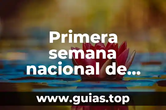 Que es el desarrollo portuario concepto 4 Primera semana nacional de salud 2017 que es