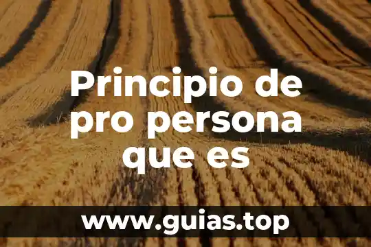 ¿Qué es mejor Clip Studio Pro o Ex? 5 Principio de pro persona que es