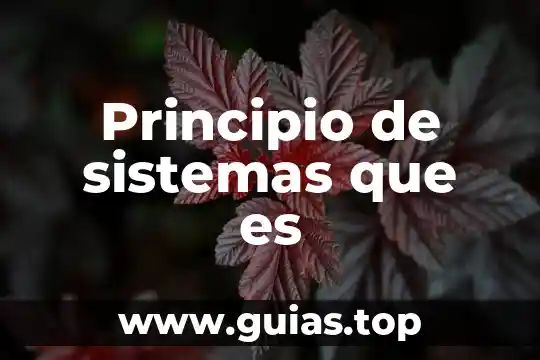 Qué es un sistemas magnéticos en el cine 5 Principio de sistemas que es