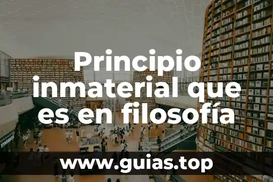 Qué es místico en filosofía 5 Principio inmaterial que es en filosofía