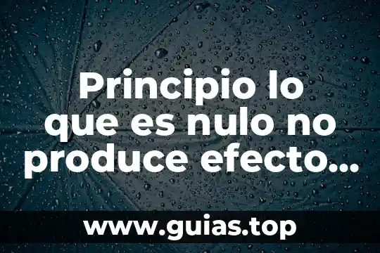 Alpha s1 que es 3 Principio lo que es nulo no produce efecto alguno
