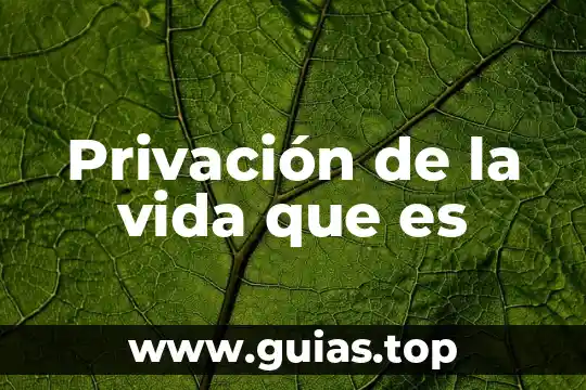 Qué es vida frenética 6 Privación de la vida que es