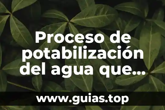 Agua pyrmont que es 4 Proceso de potabilización del agua que es