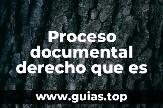 Que es el proceso de la psicogenética en dialnet 5 Proceso documental derecho que es