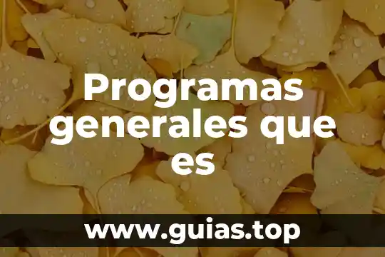Que es procedimiento global o de mercancías generales 4 Programas generales que es