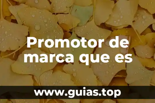 Que es la marca supreme 5 Promotor de marca que es