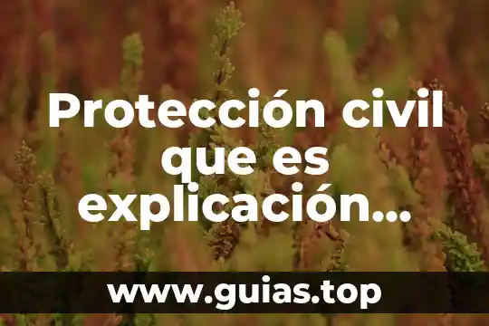 Que es el nombre en el derecho civil 4 Protección civil que es explicación para niños