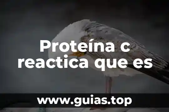 Que es la iso y tipos 6 Proteína c reactica que es