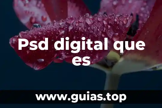 Que es digital y sus nombres 3 Psd digital que es