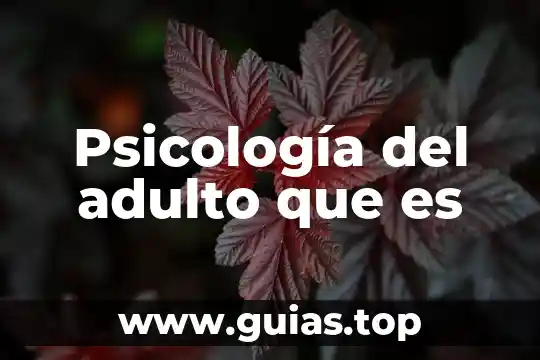 Qué es afrontamiento en psicología 4 Psicología del adulto que es