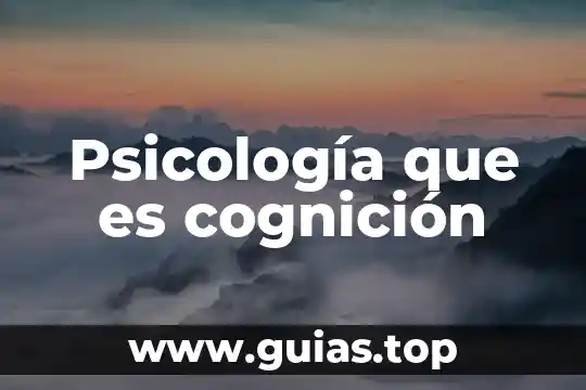 Psicología que es cognición