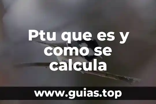 Que es listado de cuadros en una tesis 7 Ptu que es y como se calcula