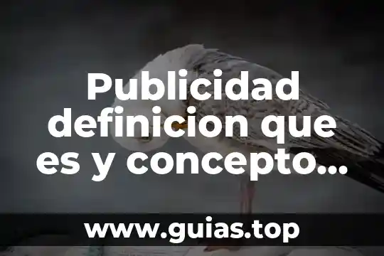 Que es cla publicidad en un juicio 3 Publicidad definicion que es y concepto economipedoa
