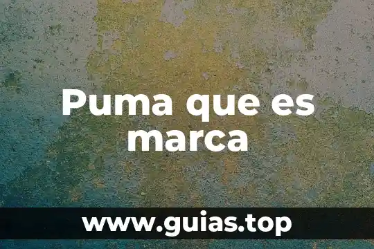 Que es el brand essence o esencia de marca 3 Puma que es marca