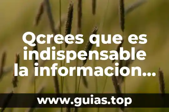 Que es gobierno de tecnologias de informacion 6 Qcrees que es indispensable la informacion en las organizaciones