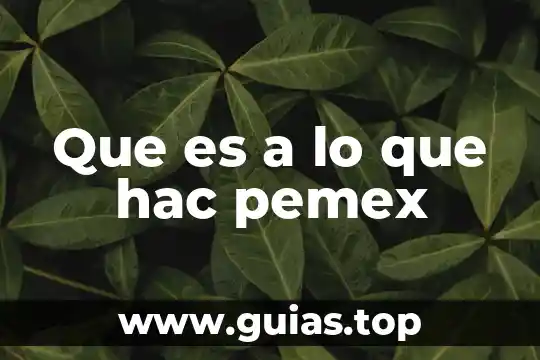 Que es el servicio extendido de proveedor de pemex 4 Que es a lo que hac pemex