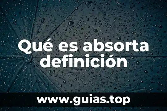 Que es internet definicion o concepto 5 Qué es absorta definición