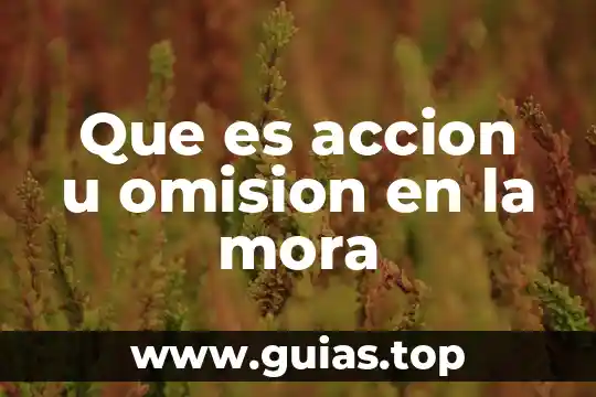 Que es el mapa de sol o flor 8 Que es accion u omision en la mora