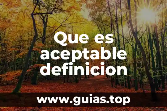 Que es la definición de un proyecto 3 Que es aceptable definicion