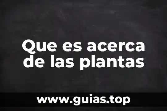 Artículos acerca de que es la psicología educativa 3 Que es acerca de las plantas