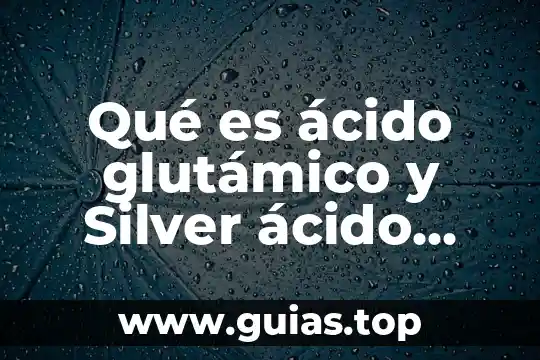 Para qué es el ácido fólico y el sulfato ferroso 4 Qué es ácido glutámico y Silver ácido glutámico