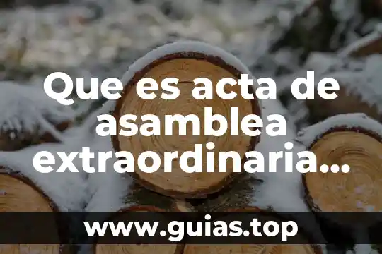 Que es figura publica en instagram 5 Que es acta de asamblea extraordinaria de accionistas