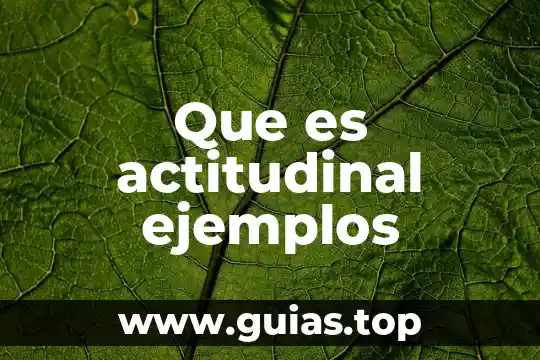 Que es actitudinal ejemplos