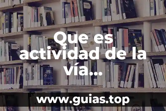 Que es la via lactea y el sol 7 Que es actividad de la vía septohipocampal