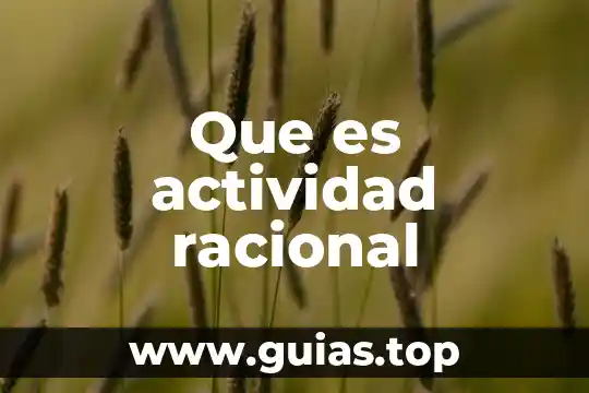Qué es un número y racional 5 Que es actividad racional