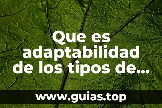 Proxy que es y sus tipos 7 Que es adaptabilidad de los tipos de yacimientos petroliferos