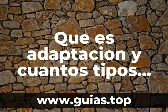 Qué es un cuadrilátero y cuántos tipos hay 5 Que es adaptacion y cuantos tipos hay