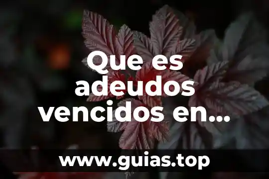 Que es un asesor de crédito 3 Que es adeudos vencidos en buro de credito