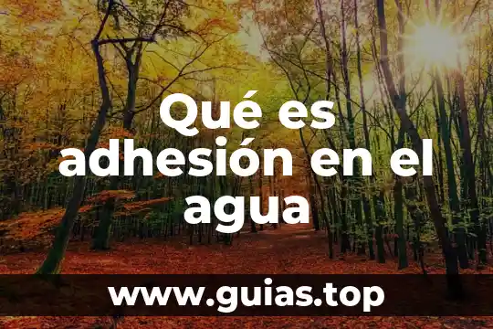 Que es al agua alcalina 8 Qué es adhesión en el agua