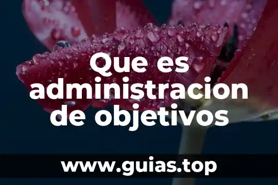 Tamayo que es plantear los objetivos 6 Que es administracion de objetivos