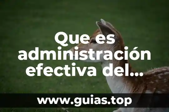Qué es taza donimal y efectiva 5 Que es administración efectiva del excedente