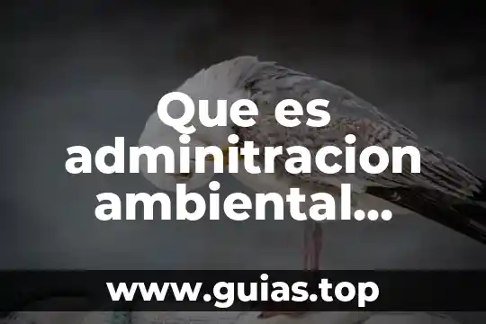 Que es una auditoria ambiental semarnat 7 Que es adminitracion ambiental semarnat