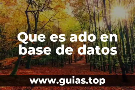 Que es una base en belleza 5 Que es ado en base de datos