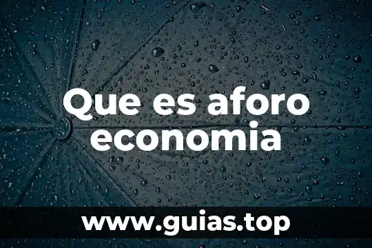 Aforo de canales que es 4 Que es aforo economia
