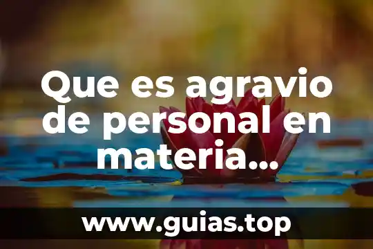 Qué es la justicia constitucional administrativa 6 Que es agravio de personal en materia administrativa