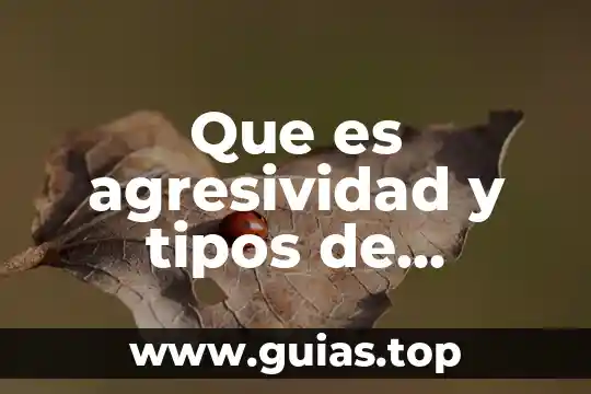 Que es la industria y tipos dr industria 7 Que es agresividad y tipos de agresividad