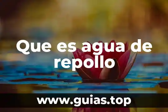 Que es el ciclo del agua biogeoquimico 6 Que es agua de repollo