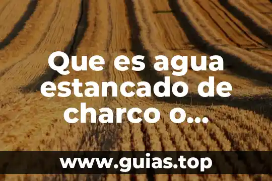 Que es el agua esencial 8 Que es agua estancado de charco o florero
